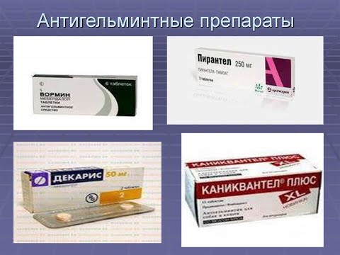 Видео: 7.6. АНТИГЕЛЬМИНТНЫЕ ЛП