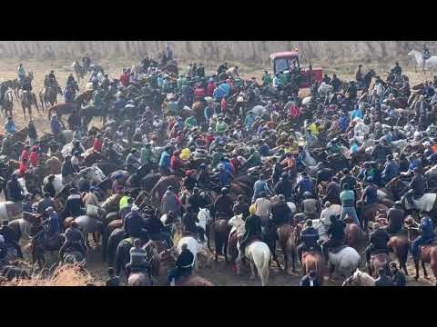 Видео: 7 ноября 2025 г.