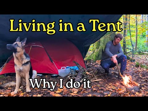 Видео: Причина, по которой я стал бездомным