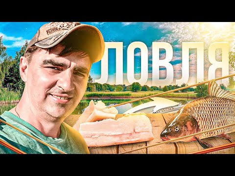 Видео: Ловля КАРПА на САЛО с ЧЕСНОКОМ.