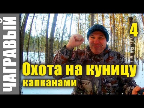 Видео: Происшествие на путике | Охота на куницу с капканом 4 _ 2018