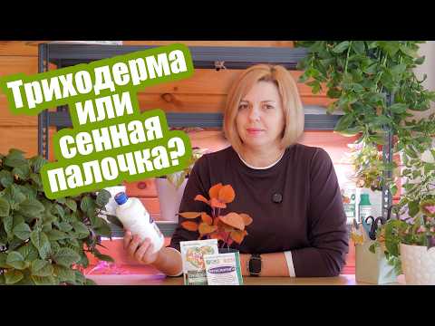 Видео: Триходерма и сенная палочка: как они работают и можно ли их смешивать