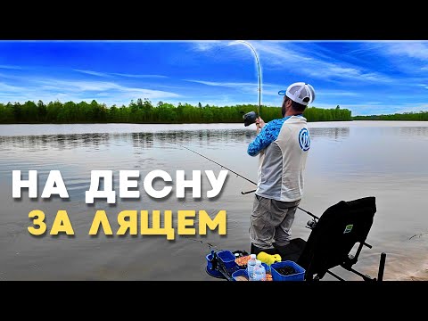 Видео: Фідер на ДЕСНІ! Полювання на трофейного ЛЯЩа під Києвом