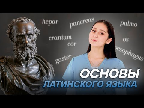 Видео: Основы латинского языка