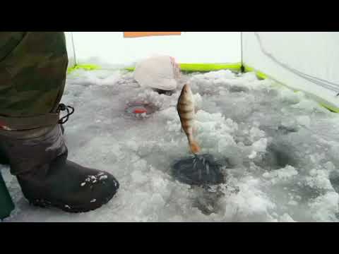 Видео: Белоярское водохранилище. У теплой. Заклевало в метель .