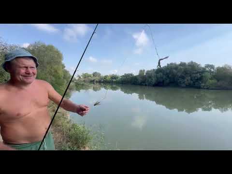 Видео: Рыбалка на реке Кубань-это лучшее место. 