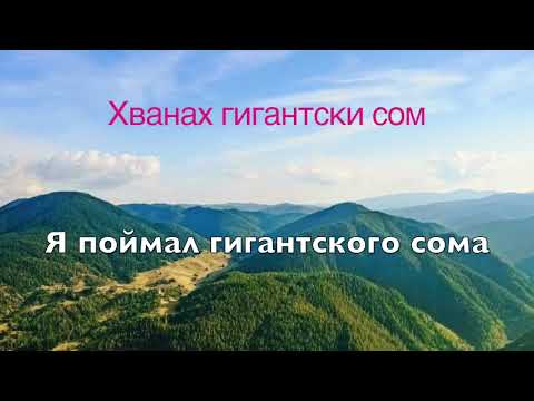 Видео: Часто встречающиеся в разговоре фразы на болгарском языке
