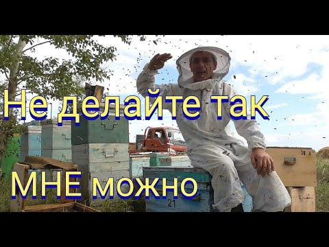 Видео: Развернул улей на 180 градусов.Что остается в пчелиной семье после роения.