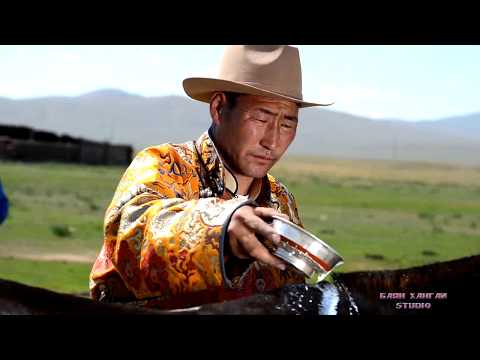 Видео: Danshigiin har MUSTA O.Dorjjantsan | Даншигийн хар МУСТА О.Доржжанцан