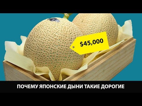 Видео: Почему японские дыни такие дорогие
