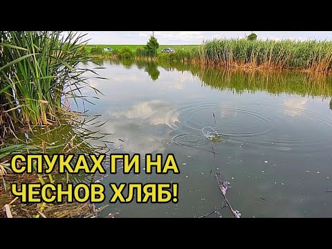 Видео: Майсторски риболов на риба със стръв от пресен чесън и селски хляб! Рибата полудя с този аромат!