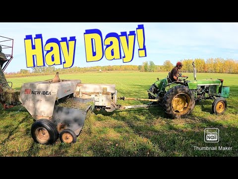 Видео: Прессование небольших квадратных тюков/сена второго урожая