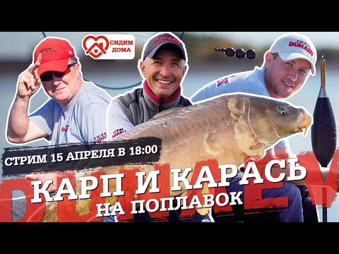 Видео: Карп и карась на поплавок. Ловля карпа и карася на поплавочную удочку