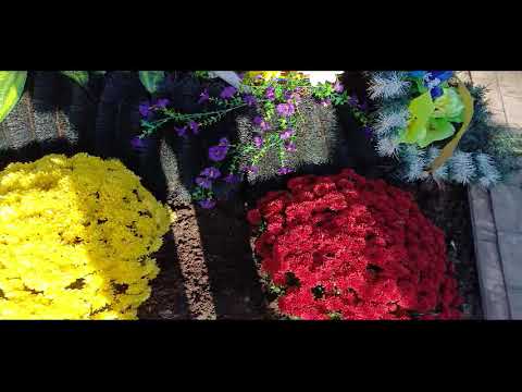 Видео: ХОЧУ КУПИТИ БРОНЬ..