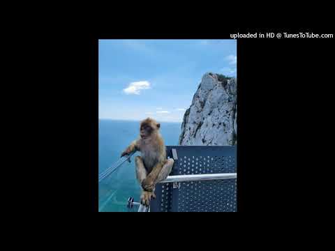 Видео: Friendly Thug 52 Ngg x Полка Type Beat - "Не Уходи"