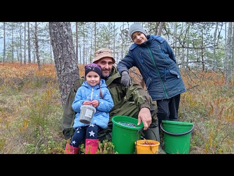 Видео: Посетили выставку. Собрали клюкву. Обустраиваем колодец.