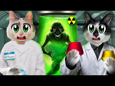 Видео: ШКОЛА КОТОВ: УРОК ХИМИИ! БЕЗУМНЫЕ ОПЫТЫ И ЭКСПЕРЕМЕНТЫ для СМЕШНЫХ КОТОВ