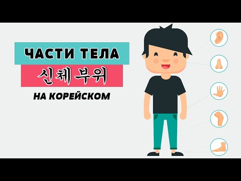 Видео: Части тела на корейском языке