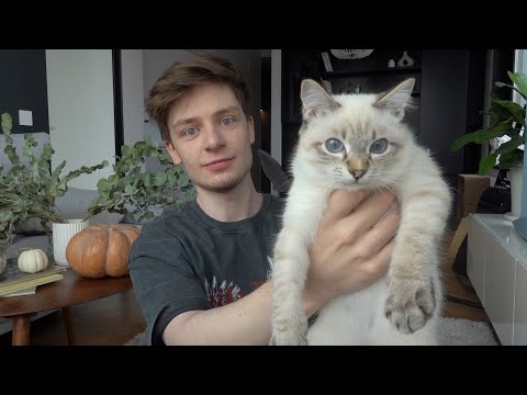 Видео: VLOG: ТЕПЕРЬ ИХ ДВОЕ! 🐱 МОЯ ФОТОВЫСТАВКА