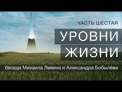 Видео: Беседа Михаила Левина с Александром Бобылёвым. Часть шестая.