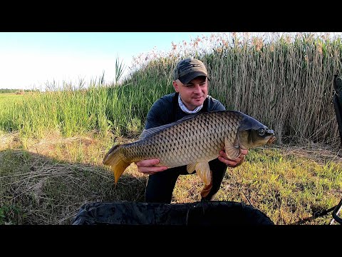 Видео: Пішла вода в хату!!! Бабусині снасті в ділі!