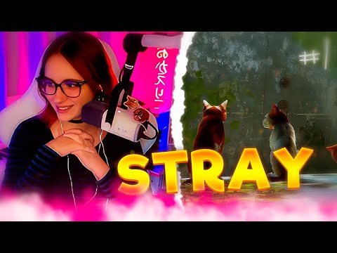 Видео: КСЮША ПРОХОДИТ STRAY #1