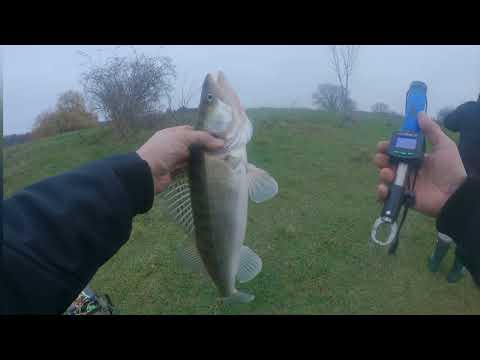 Видео: Рыбалка 2022 Нидерланды. Поиск судака.