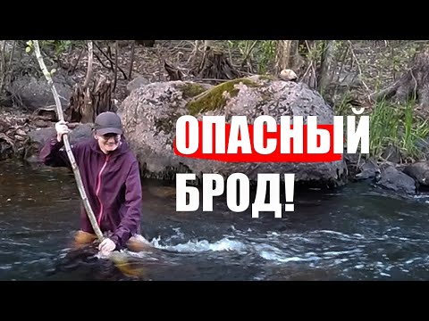 Видео: Север зовёт: брод по пояс, гроза и финские хутора