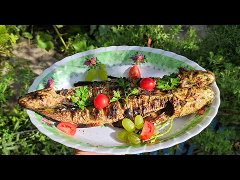 Видео: Пиленгас маринованный в солеросе по-немецки. Старинный бердянский рецепт приготовления рыбы.