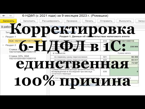 Видео: Корректировка 6-НДФЛ в 1С: единственная 100% причина