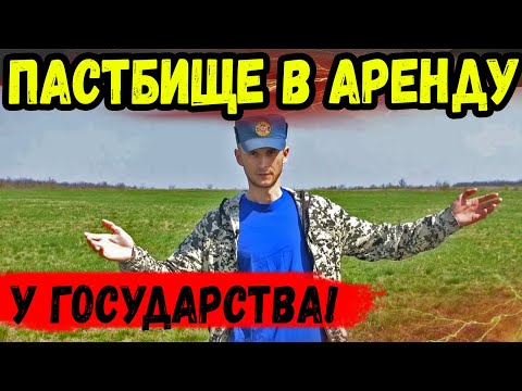 Видео: Оформил Пастбище в Аренду! Как?