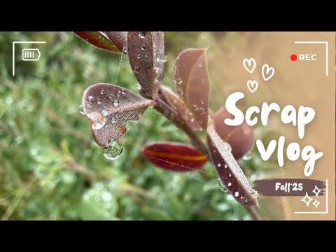 Видео: Осенний Лес 🍄‍🟫, Спонтанная Встреча 🤗 и Альбом Для Маленького Пирата 🏴󠁶󠁵󠁭󠁡󠁰󠁿