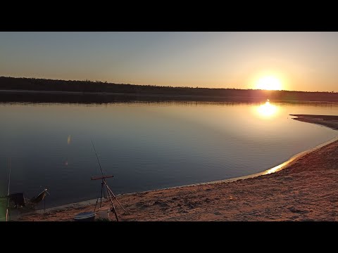 Видео: Рыбалка в Запорожье Ловили карпа и ляща