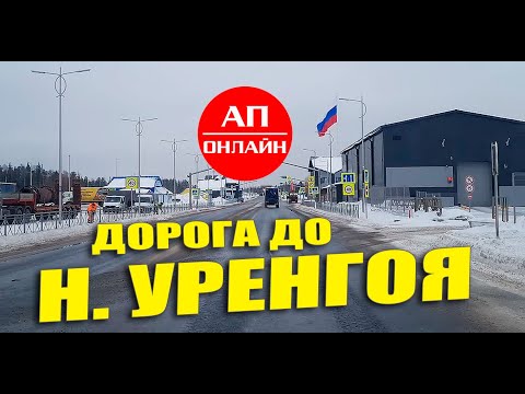 Видео: Проезд от Карамовского поста до Нового Уренгоя. Видео из рейса на Надым