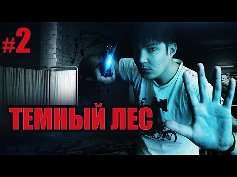Видео: Прохождение The Evil Within | Часть 2 — «Темный лес»