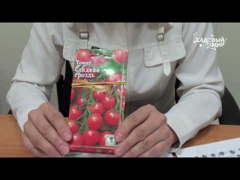 Видео: Томаты, устойчивые к фитофторозу  Выбираем сорта. Сайт "Садовый мир"