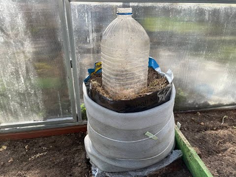 Видео: Сажаю огурцы 1 апреля в хитрые "теплые мешки-реакторы"