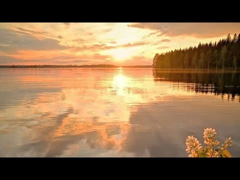 Видео: Послание от духов рода. Таро поток