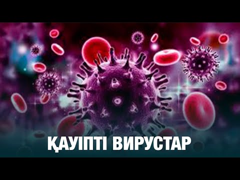 Видео: Қауіпті вирустар | Тележурнал