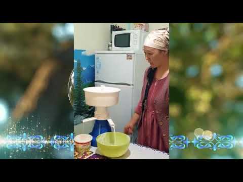 Видео: Изилдөө долбоору #9-мектеп