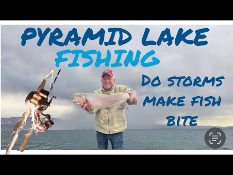 Видео: РЫБАЛКА НА ШТОРМОВОМ ОЗЕРЕ ПИРАМИД, ШТАТ НВА Давайте посмотрим, будет ли рыба лучше клевать при п...