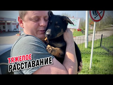 Видео: ОТПРАВИЛ ЩЕНКА В ОПАСНУЮ ЗОНУ
