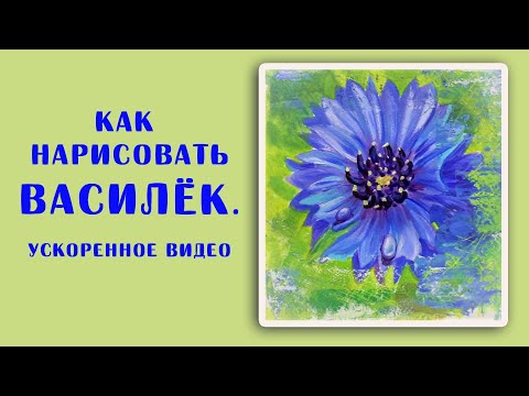 Видео: Как нарисовать василек. Ускоренное видео
