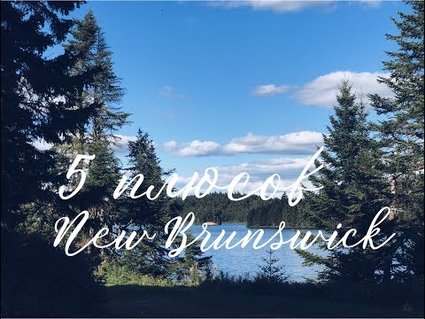Видео: 5 плюсов провинции Нью Брансуик ( New Brunswick)