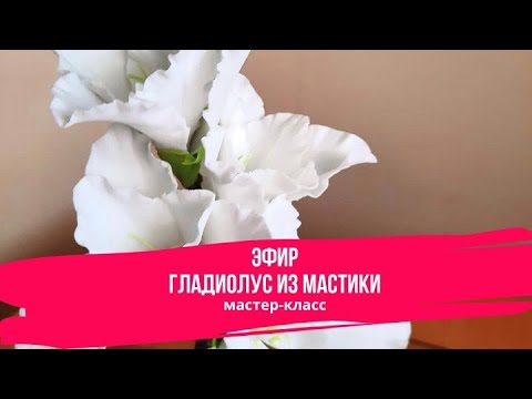 Видео: Гладиолус из Мастики