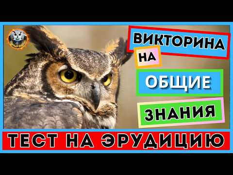 Видео: Викторина 124 | ПРОКАЧАЙ МОЗГ | Тест на эрудицию | Kвиз для всех