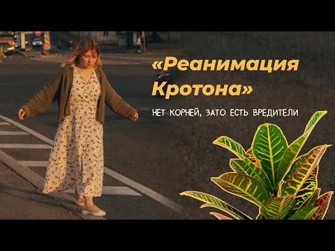 Видео: Реанимация Кротона