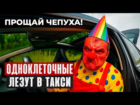 Видео: ОДНОКЛЕТОЧНЫЕ В Такси СОЗДАЮТ Сообщества И Дают СОВЕТЫ ПО Работе ИЛИ Как КОЛЯ Броненосец Гонит Дичь