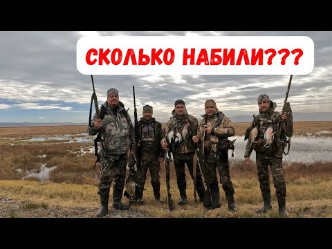 Видео: СЕЗОН ОХОТЫ НА УТКУ! ОТКРЫТИЕ ОХОТЫ НА ПТИЦУ В АМЕРИКЕ! ￼