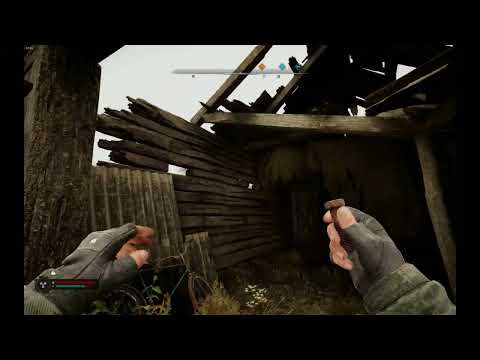 Видео: играю в stalker 2,5 серия